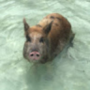 Meet your Posher, Kristin